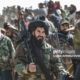 Pakistani Taliban