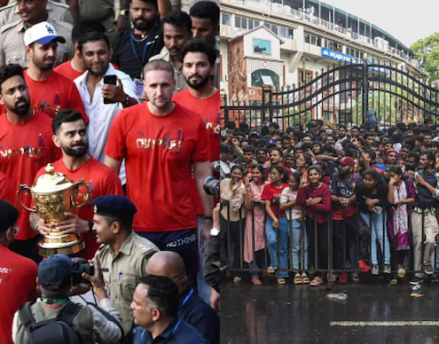 RCB Stampede